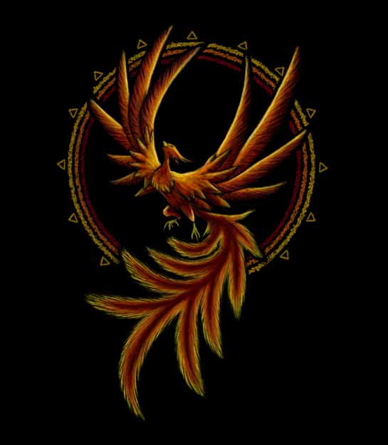 Rising Phoenix - New Dawn - Men's T-shirt