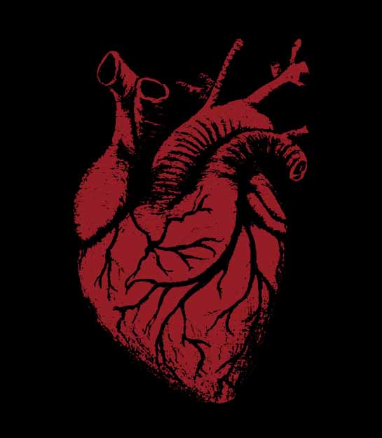 A stylized anatomical heart graphic in distressed red with black linework on a solid black background.