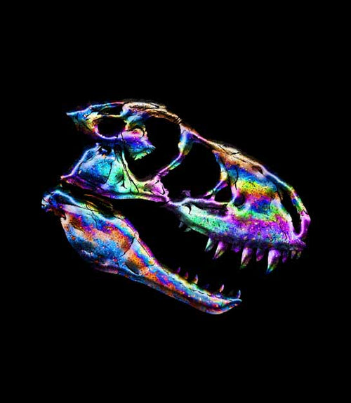 A colorful, iridescent oil spill inspired T-rex skull, shown against a solid black background.