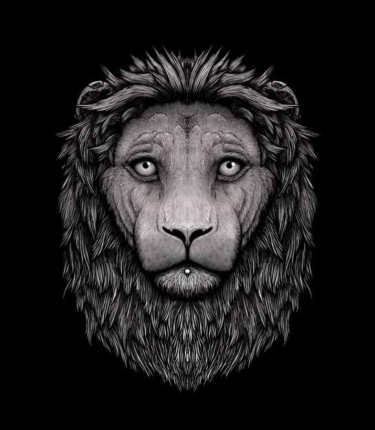 A detailed black and white graphic illustration of a lion's head and mane, centered on a solid black background.